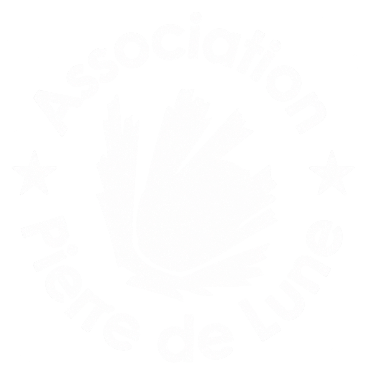 Logo Association Pierre de Lune